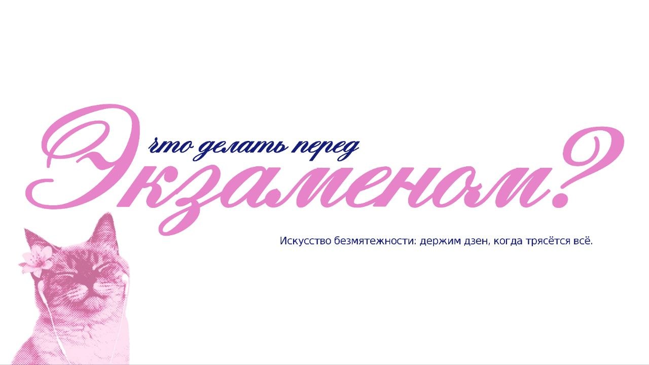 Что делать перед экзаменом?