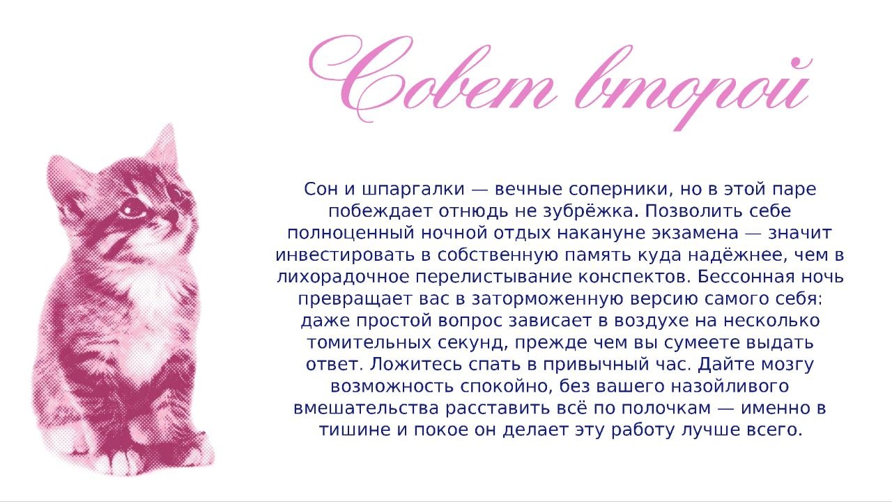 Совет второй: сон важнее шпаргалок